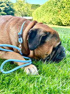 Guinzaglio RETRIVER in corda liscia